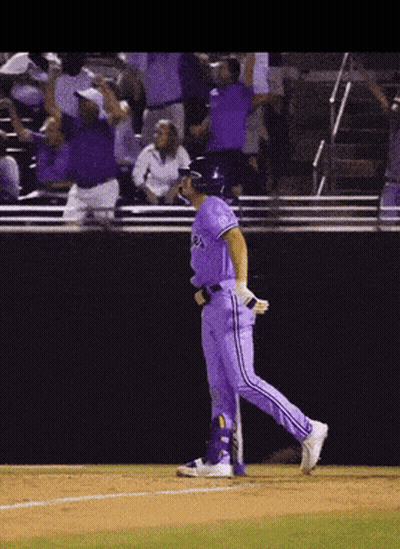 Baseball Player In Purple Uniform Rays GIF