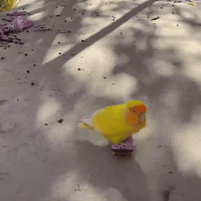 Baseball Player In Rangers Uniform Running GIF