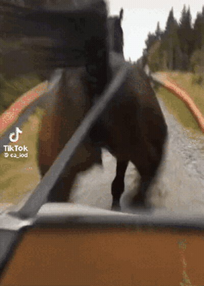 Baseball Player Number 21 Swinging GIF