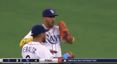 Baseball Player Number 6 Talking To Another GIF