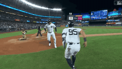 Baseball Player Number 95 GIF