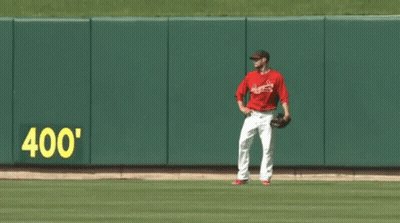 Baseball Player On Field GIF