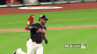 Baseball Player Running With Parrot MLB.com GIF