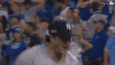 Baseball Player Screaming In Stands In New York Yankees Jersey GIF