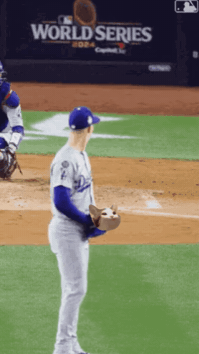 Baseball Player Standing On Field GIF