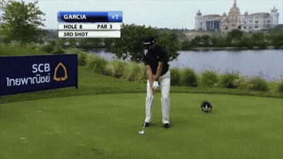 Baseball Player Watch Me Play Throw GIF