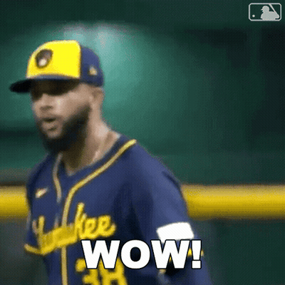 Baseball Player Wearing Wow Jersey GIF
