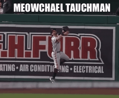 Baseball Player When You Get Traded To Te Dodgers #Sototolad GIF