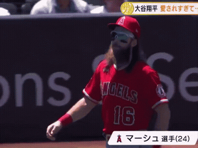 Baseball Player With Beard In Number 16 Jersey GIF