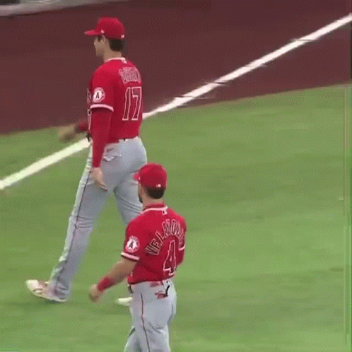 Baseball Player With Number 17 On Back Of Shirt GIF