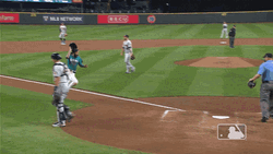 Baseball Playoff Walk Off GIF