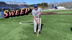 Baseball Sweeping GIF