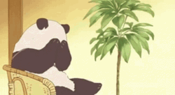 Bashful Adorable Panda Hiding Its Face GIF
