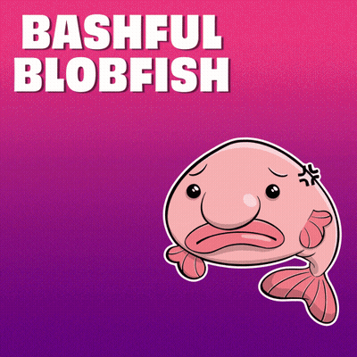 Bashful Blobfish GIF