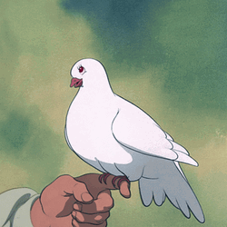 Bashful Dove Resting On Finger GIF