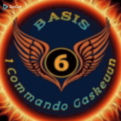 Basis 6 Commando Gaskeuun With Wings GIF