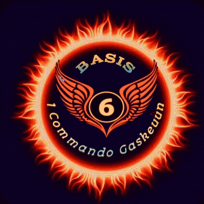 Basis Commando Gaskeurn Logo With Circle Of Fire GIF