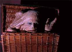 Basket Case Tell Me More GIF