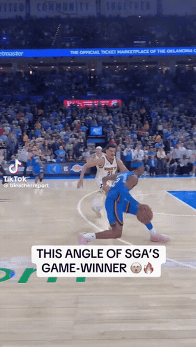 Basketball Game Crowd TikTok Game Winner Angle GIF