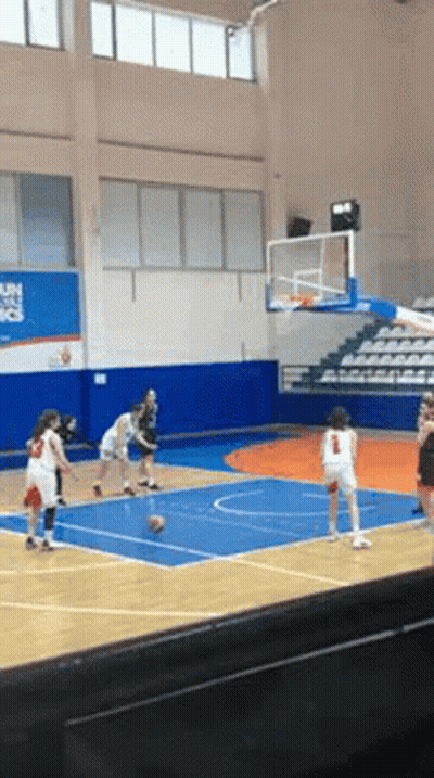 Basketball Game In Istanbul Spor Gym GIF