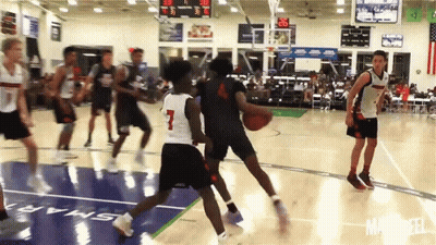 Basketball Game On Paws Court GIF