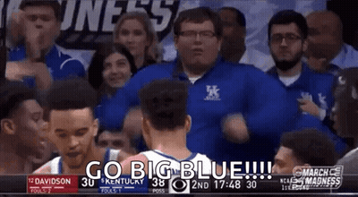Basketball Game With Crowd and Referee