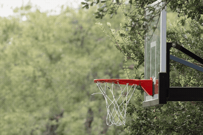Basketball Hoop Hanging From Tree GIF