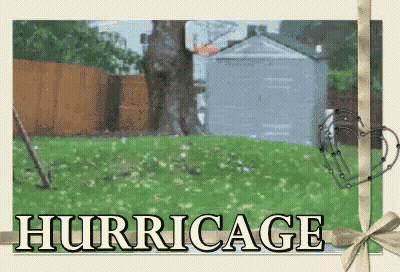 Basketball Hoop With Hurricage GIF