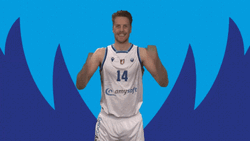 Basketball Motivation Donar Groningen GIF