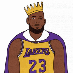 Basketball Nba Lakers King Lebron James