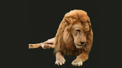 Basketball Player In Number 33 Jersey GIF