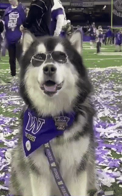 Basketball Player In Purple Uniform Number 15 GIF