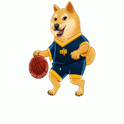Basketball Shiba Inu Dog