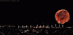 Bastille Day Fireworks GIF