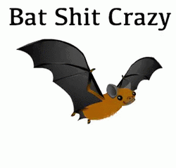 Bat GIF
