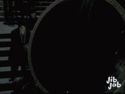 Bat Signal Maysi Cat GIF