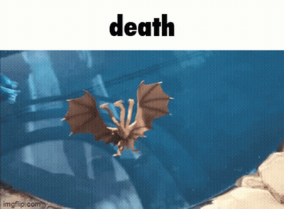 Bat Swimming In Water With Death Above GIF