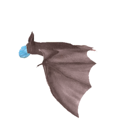 Bat Wearing Blue Mask Flying Sticker