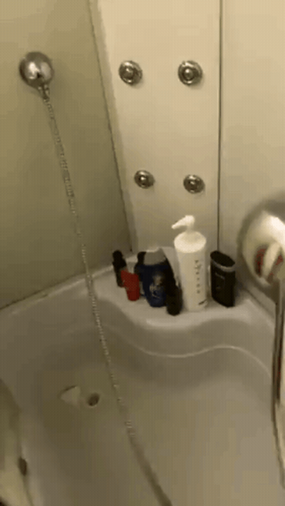 Bathroom Shower And Bathtub Filled With Bottles GIF