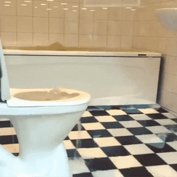 Bathroom Water Overflow GIF