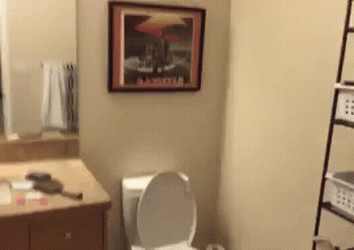 Bathroom With Picture Above Toilet GIF
