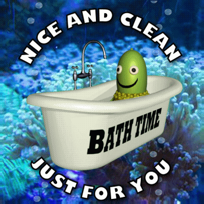Bathtub Saying Bath Time GIF