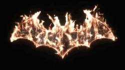 Batman Arkham City Burning Logo