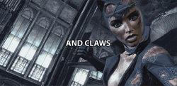 Batman Arkham City Catwoman And Claws