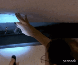 Bats In Office Ceiling GIF