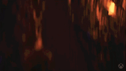 Bats On Fire Game GIF