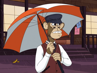 Batten Down The Hatches Monkey Rain GIF