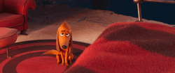 Batting Eyelashes Dog Moose Please Cartoon GIF