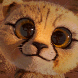 Batting Eyes Cat GIF
