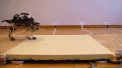 Battle Bots Cheetah Club GIF